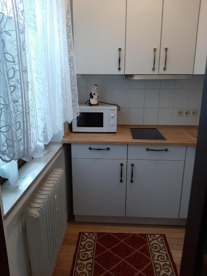 At The Lichtentaler Allee Apartment バーデン＝バーデン エクステリア 写真