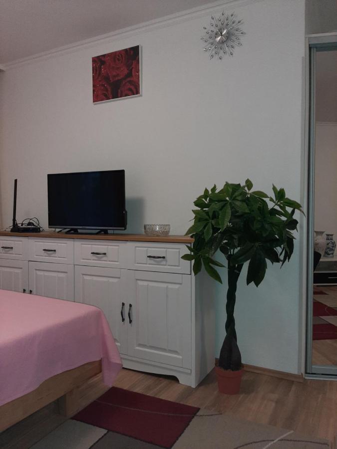 At The Lichtentaler Allee Apartment バーデン＝バーデン エクステリア 写真