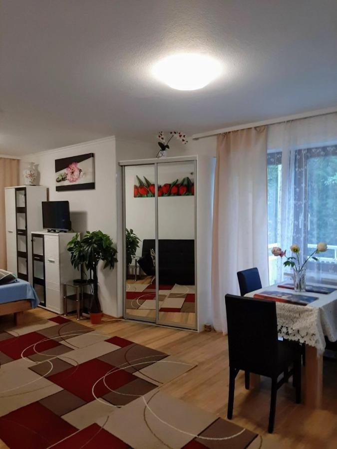 At The Lichtentaler Allee Apartment バーデン＝バーデン 部屋 写真