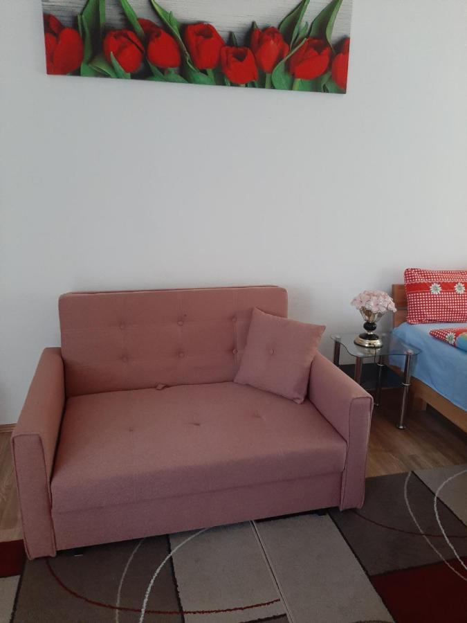 At The Lichtentaler Allee Apartment バーデン＝バーデン エクステリア 写真