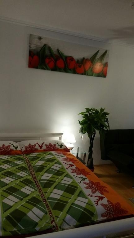 At The Lichtentaler Allee Apartment バーデン＝バーデン エクステリア 写真